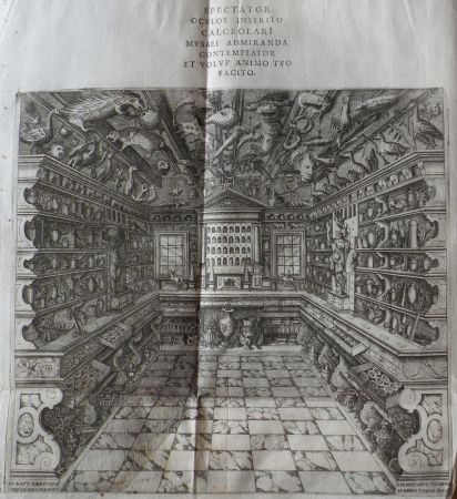 Ouvrage imprimé : Musaeum Franc. Calceolari