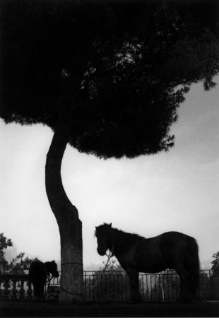 Photographie : Sans titre Nice, France