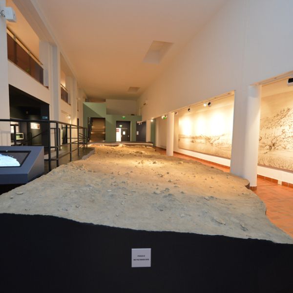 Musée d'Archéologie de Nice - site de Terra Amata